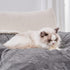 Qeils Dog Blankets for Small Dogs - Waterproof Cat Blanket Washable - Sherpa Fleece Puppy Blanket, Soft Plush Reversible Throw Protector for Bed C...