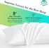 Travel Pillow Case 12x16 Size Set of 2 Envelope Closure Toddler Pillowcase 600 Thread Count 100% Soft Egyptian Cotton Travel Pillow Covers 12 x 16...