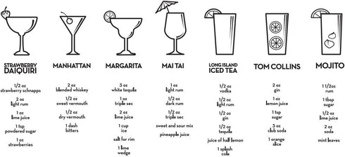 True Maraca Cocktail Shaker with Built In Strainer, Drink Mixer with 7 Classic Drink Recipes & Measurements, Perfect for Game Nights, BBQ, House P...