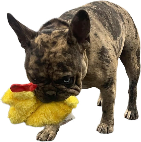 Chicken and Egg Crinkle Squeaker Toys - for Dogs and other Small Pets...