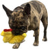 Chicken and Egg Crinkle Squeaker Toys - for Dogs and other Small Pets...