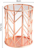 Pen Holder for Desk, Make Up Brush Holder Rose Gold Metal Wire Pencil Cup Holders...
