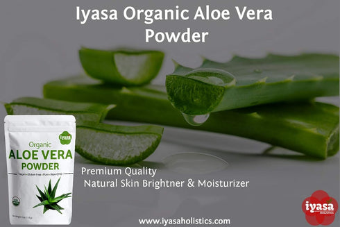 Organic Aloe Vera Leaf Powder, Bulk Pack of 16 oz/453 gram, Aloe Barbadensis, Herbal Cosmetics, Natural Hair & Skincare, Moisturizer, Superfood,Re...