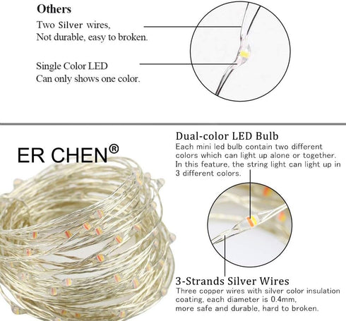 ER CHEN 2 Pack Dimmable USB String Lights, 33ft 100 LED Warm White & Green Color Changing Fairy Lights with Remote&Timer, 8 Modes Silver Coated Co...