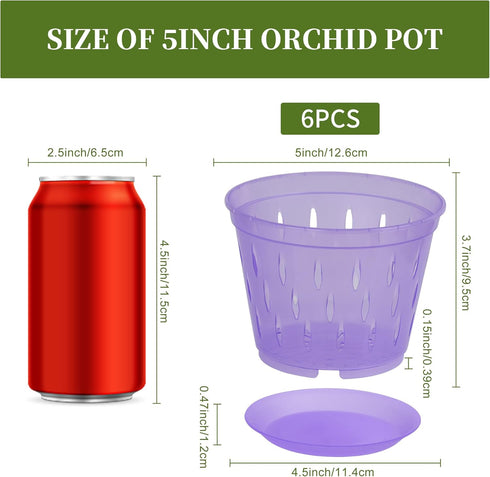 5 Inch 6 Pack Orchid Pot with Holes and Saucers Clear Orchid Pot?Purple Amethyst?...