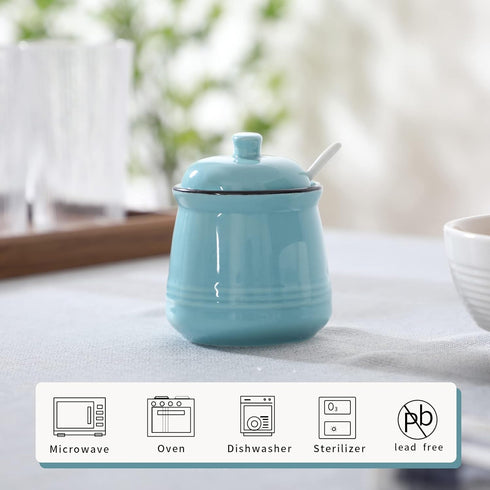HAOTOP Porcelain Salt Bowl with Lid and Spoon,Ceramic Sugar Bowl 12oz (Turquoise)...