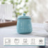 HAOTOP Porcelain Salt Bowl with Lid and Spoon,Ceramic Sugar Bowl 12oz (Turquoise)...