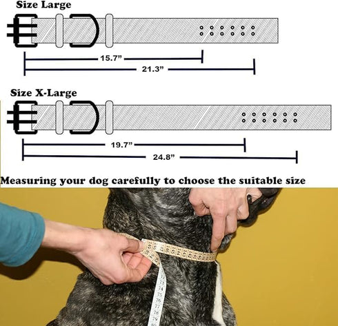4Pets Heavy Duty Dog Collar for Medium to Large Dogs (2.5CM - Medium)...
