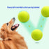 6 Pcs Dog Chew Toys Interactive Dog Toys Interactive Tennis The Rubber Material is Full of Elasticity Suitable for Small and Medium Sized Dogs...