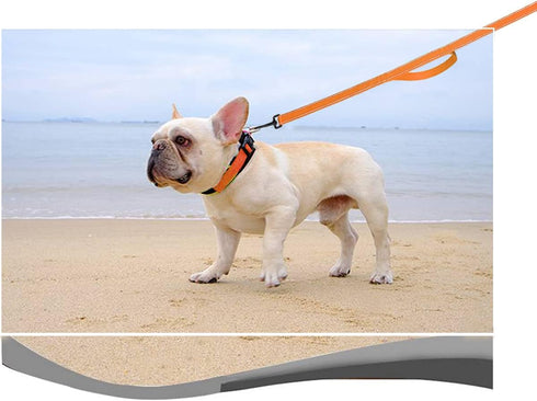 10FT Traffic Leash with 2 Handle Dog Leash Reflective, Easy Control Training Walking Nylon Two-Double Handle Dog Leash for Large Medium dogs and P...