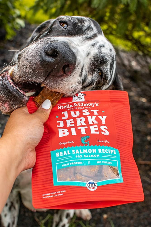 Stella & Chewy's Just Jerky Bites Real Salmon Recipe Dog Treats, 6 oz. Bag...