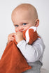 Angel Dear - Fox Blankie...