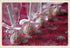 100 CAKE POP BAGS 4W"x2D"x8H" Bottom Gusseted Clear Poly Favor - For Large Size Cake Pops...