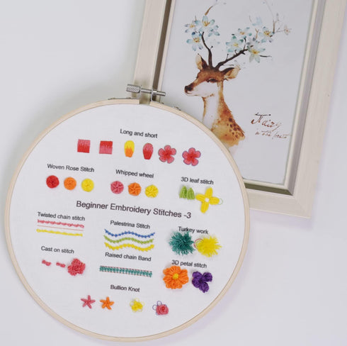 Fanryn Embroidery Kit for Beginners Beginner Embroidery Stitch Practice Kit, 3 Sets Embroidery Kit to Learn 35 Different Stitches for Craft Lover ...