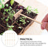 DOITOOL Mini Zen Garden Tool Rake Set, 10Pcs Zen Garden Sand Rake Tool, Meditation Feng Shui Decor Zen Garden Accessories for DIY Home Office Tabl...