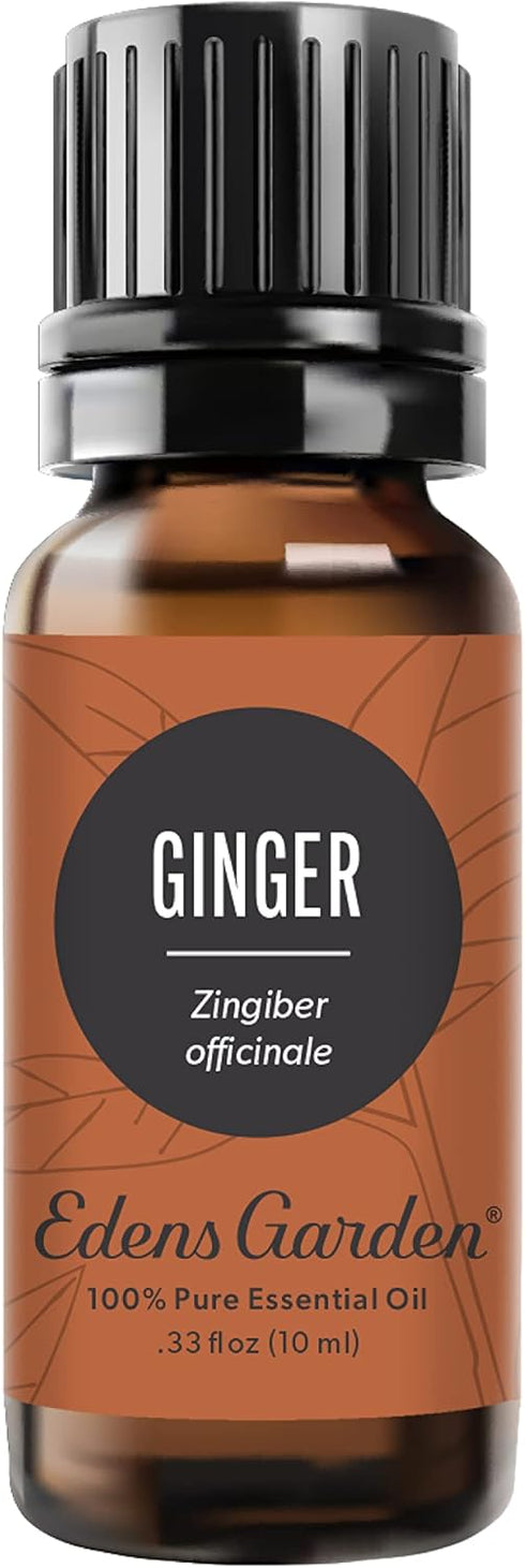 Edens Garden Ginger Essential Oil- 100% Pure Premium Grade, Undiluted, Natural, Therapeutic, Aromatherapy, The Best for Diffuser, Skin, Candle, Ki...