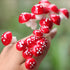Cute Resin Craft Decoration Mushroom Fairy Garden Miniatures Accessories (pack of 50)...