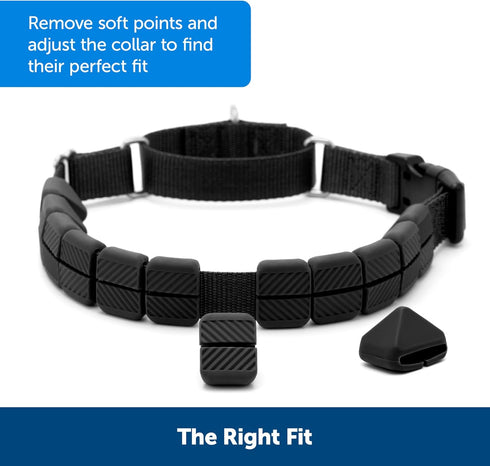 PetSafe Soft Point Replacement Pack Soft Point Training Collar No Pull Collar 4 Pack Replacement Soft Points...