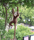 Long Arm Hanging Monkey Stuffed Animals,Curtain Monkey Plush Toy Birthday Xmas Gift for Kids (24Inch)...