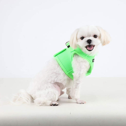 Puppia Neon Soft Vest Harness Step-in No Choke No Pull Walking Training for Small and Medium Dog, Green, Medium...