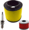 17254-HN5-670 Air Filter Oil Filter Spark Plug Replacement for Honda Rancher 350 TRX350 Honda Foreman 400 450 TRX400 TRX450...