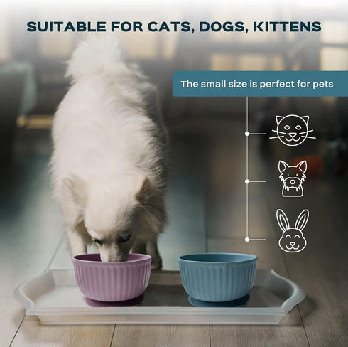 Cat Bowls with Suction Cup 13 Oz — Elevated Silicone Pet Dish with Non-Slip Bottom for Dry Food, Wet Food and Water (Soft pink)...