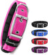 Comfort Fit Dog Collar - Soft Padded Dog Training Collar with Adjustable Buckle - Breathable and Lightweight Pet Collar - Durable, Heavy Duty Dog ...