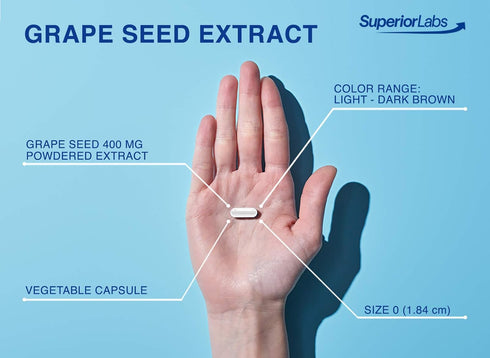 Superior Labs - Grape Seed Extract - 95% Polyphenols - 400mg, 120 Vegetable Capsules - Cardiovascular Health - High Antioxidant Content - Healthy ...