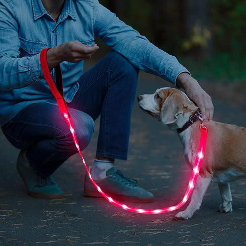 BSEEN LED Dog Leash - USB Rechargeable Light Up Dog Leash - Glowing Pet Leash - LED Dog Lead for Nighttime Dog Walking (Pink?, 47 Inch)...