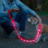 BSEEN LED Dog Leash - USB Rechargeable Light Up Dog Leash - Glowing Pet Leash - LED Dog Lead for Nighttime Dog Walking (Pink?, 47 Inch)...