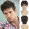 Mens Short Brown Wig Synthetic Natural Replacement Hair Wig for Daily Party Wear...