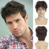 Mens Short Brown Wig Synthetic Natural Replacement Hair Wig for Daily Party Wear...