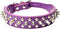 Spiked Dog Collar Soft Pu Leather Mushrooms Rivet Spike Studded Puppy Adjustable Pet Collars for Small Breeds (M, Purple)...