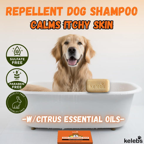 Deodorizing Dog Shampoo for Smelly Dogs | Puppy Shampoo | Organic Pet Shampoo for Dogs | Natural Dog Shampoo Bar | Citrus Essential Oils | Eco-Fri...