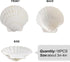 16PCS Sea Shells for Crafts 2.7"~3.5" White Scallop Shells, for Baking Shells Crafts DIY Painting Beaching Wedding Decoration Beach Natural Scallo...