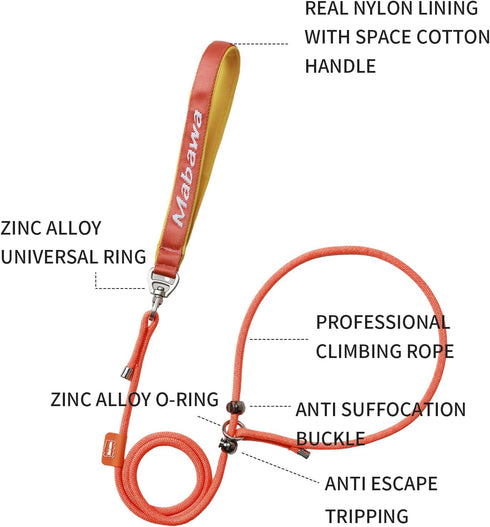 Slip Lead Dog Leash, 5 FT Dog Training Leash with Metal Stopper, Durable No Pulling Dog Lead Leash with Comfortable Handle, Nylon Heavy Duty Rope ...