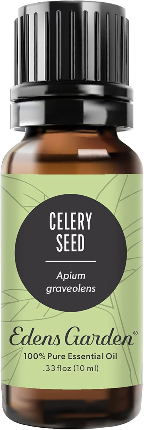 Edens Garden Celery Seed Essential Oil, 100% Pure Therapeutic Grade (Undiluted Natural/Homeopathic Aromatherapy Scented Essential Oil Singles) 10 ...