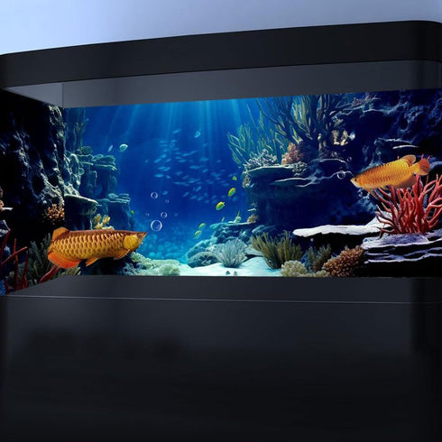 60X24IN Blue Sea Floor Aquarium Background, Natural Underwater World 3D Effect Fish Tank Decorations Background, Art Terrarium Background with 8 E...