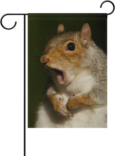 ALAZA Double Sided Grey Squirrel Yawning Funny Face Polyester Garden Flag Banner 12 x 18 Inch for Outdoor Home Garden Flower Pot Decor...