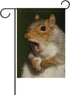 ALAZA Double Sided Grey Squirrel Yawning Funny Face Polyester Garden Flag Banner 12 x 18 Inch for Outdoor Home Garden Flower Pot Decor...