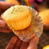 600PCS/Set Muffin Cupcake Paper Cups Cake Forms Cupcake Liner Baking Muffin Box Cup Case Party Tray Cake Mold Decorating Tools...