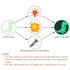 Glow in The Dark Stickers,2 Pack Dinosaur Stickers Decor for Boys Kids Bedroom,Wall Stickers for Living Room Decorations...