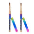 2pcs Nail Art Clean Up Brushes, Painting Brushes for Nails with Round & Angled Head Acrylic Nail Brush Pen Painting Tools for Women Nail Art Desig...