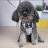 Dog Harness and Leash Set, Soft Mesh No Pull Dog Cat Harness Vest with Bowtie Bell for Small Dogs Puppy and Cats Outdoor Training and Running Clas...