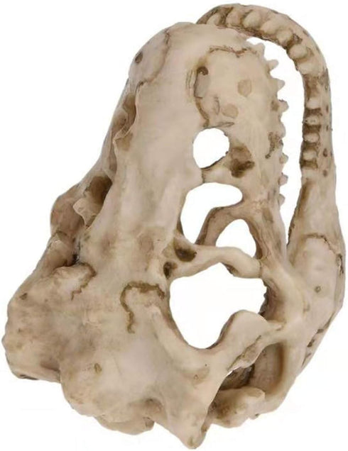 2Pcs Aquarium Decoration Small Resin Dinosaur Skull Skeleton Fish Tank Aquarium Aquarium Cave Pet Reptile House Decoration...