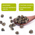 LWXLJMJZC?100g/3.53oz Jasmine Dragon Pearls Loose Leaf Green Tea with Pleasant Jamsine Aroma-Jasmine Tea Suitable For Both Hot And Cold...