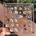 Seashell Display Box, Acrylic Magnetic Seashell Display Box, 36/64 Grid Display Cases for Collectibles, DIY Transparent Seashell Storage Box Displ...