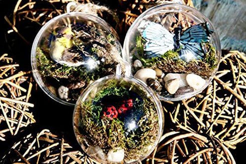 Plastic Ball Ornament, 70mm, Clear, Pack of 12 (70 mm)...