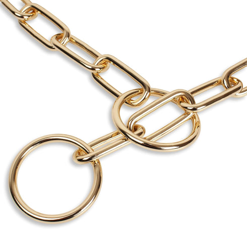 Gold Dog Chain Collar,Heavy Duty Chew Proof Stainless Steel Long Link Fur Saver Dog Training Collar | No-Pull Slip Chain for Small Medium Dogs for...