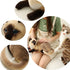 Siamese Cat Stuffed Animal, Shorthair Cat Realistic Plush Cat Stuffed Toys, Gift for Kids 12inches (A)...